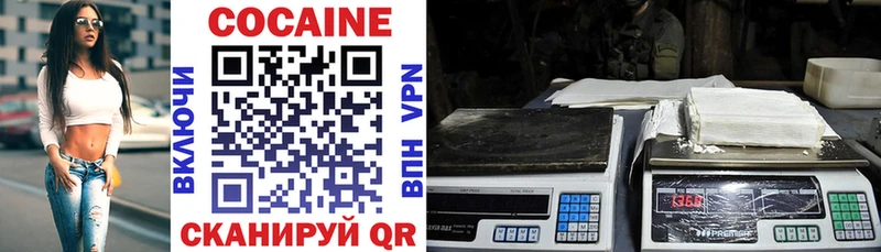 COCAIN Fish Scale  Купить  Петухово 