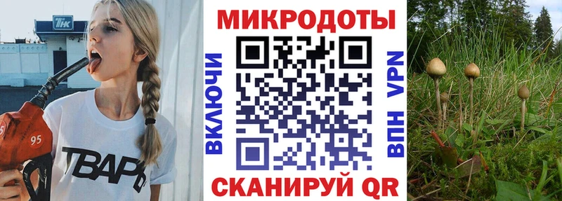 Купить где  Петухово  Галлюциногенные грибы Psilocybe 