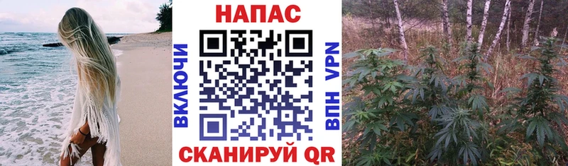 Купить  Петухово  Канабис SATIVA & INDICA 
